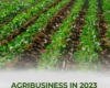Is Agribusiness A Good Investment Venture In 2023